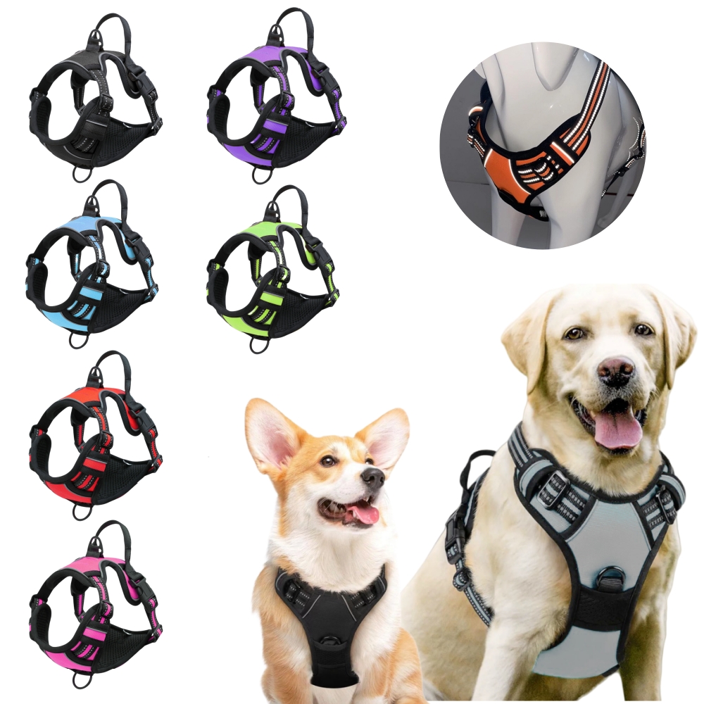 Pet Supplies Plus - No Pull Dog Harness Large Dog