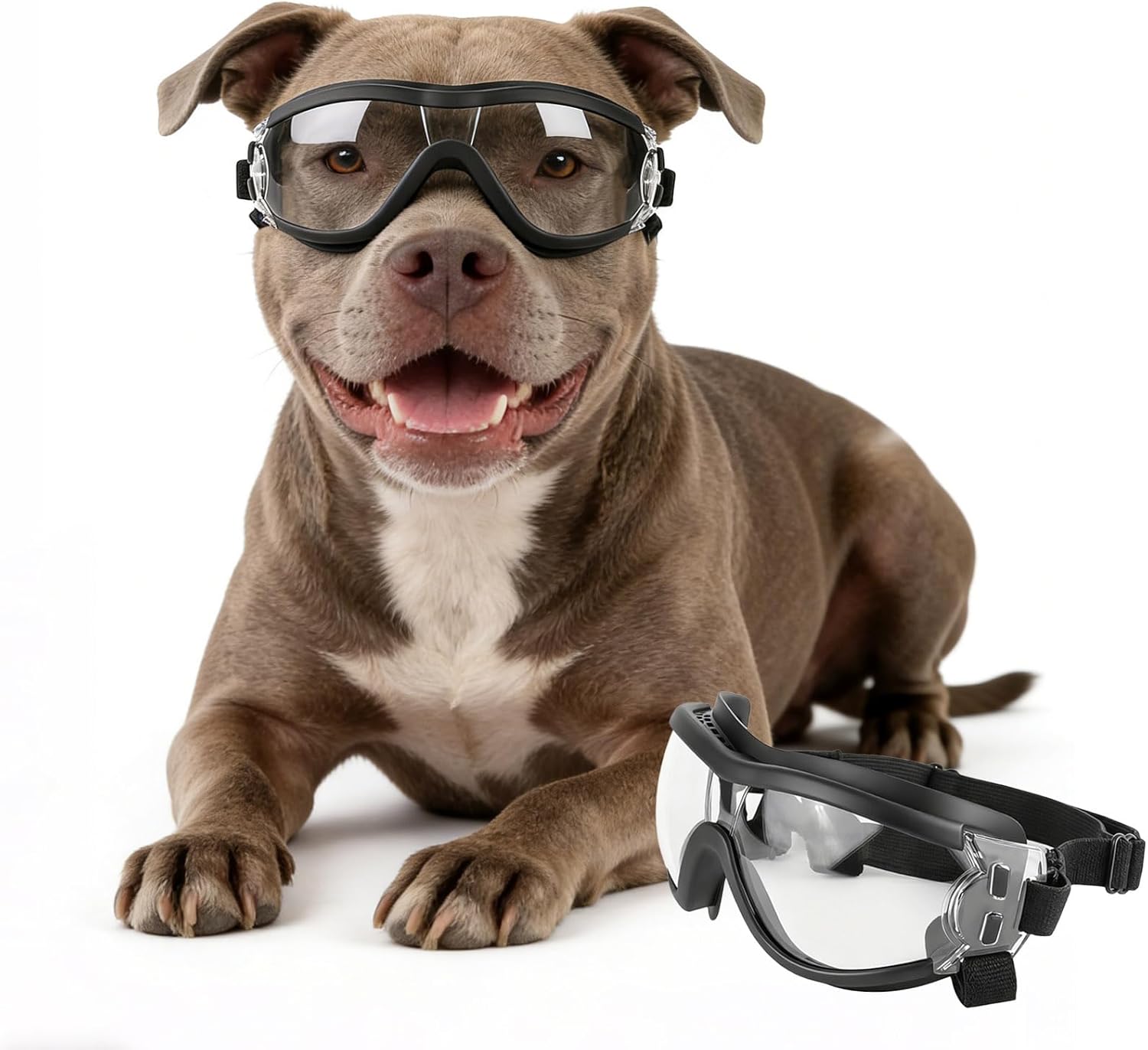 Pet Supplies Plus - Adjustable Pet Goggles for Dogs Transparent