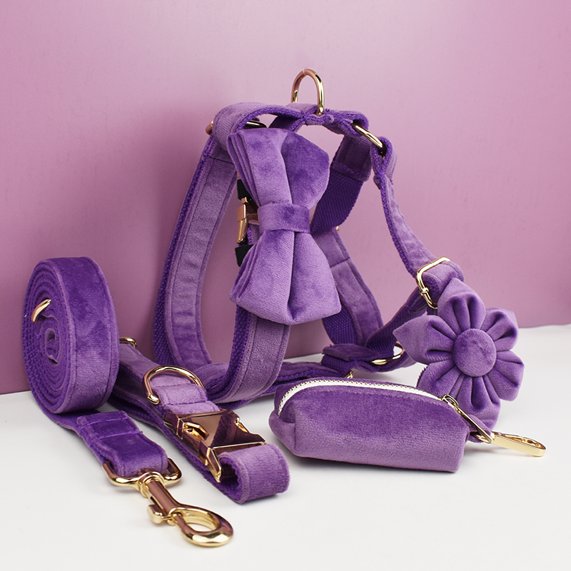 Pet Supplies Plus - Purple Velvet Dog Collar And Leash