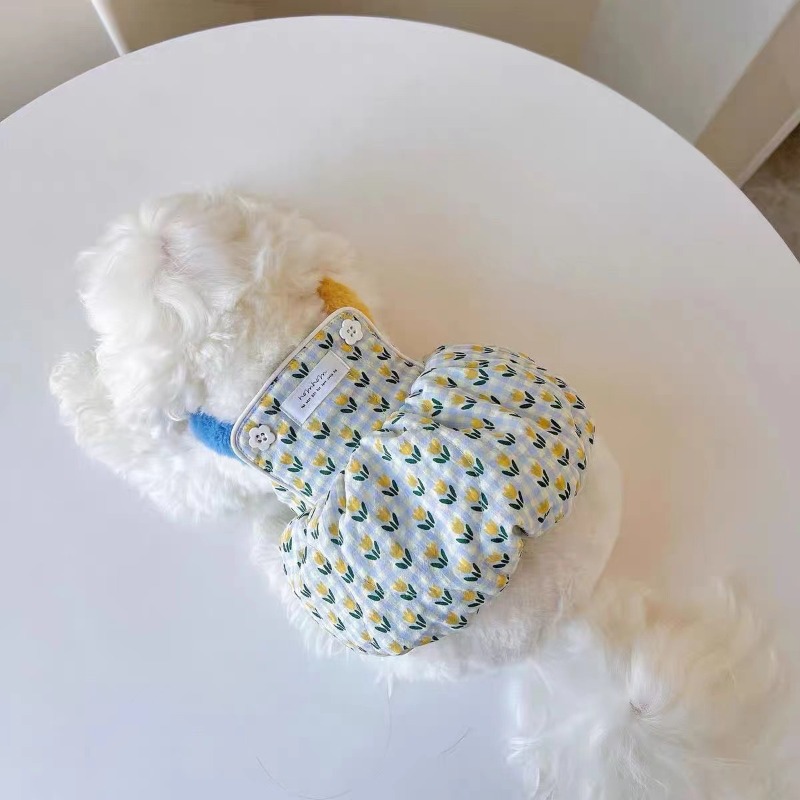 Creative Autumn and Winter Clo - Pet Supplies For Less review and price