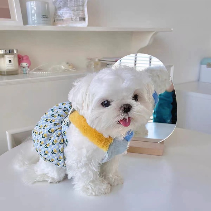 Creative Autumn and Winter Clo - Pet Supplies For Less review and price