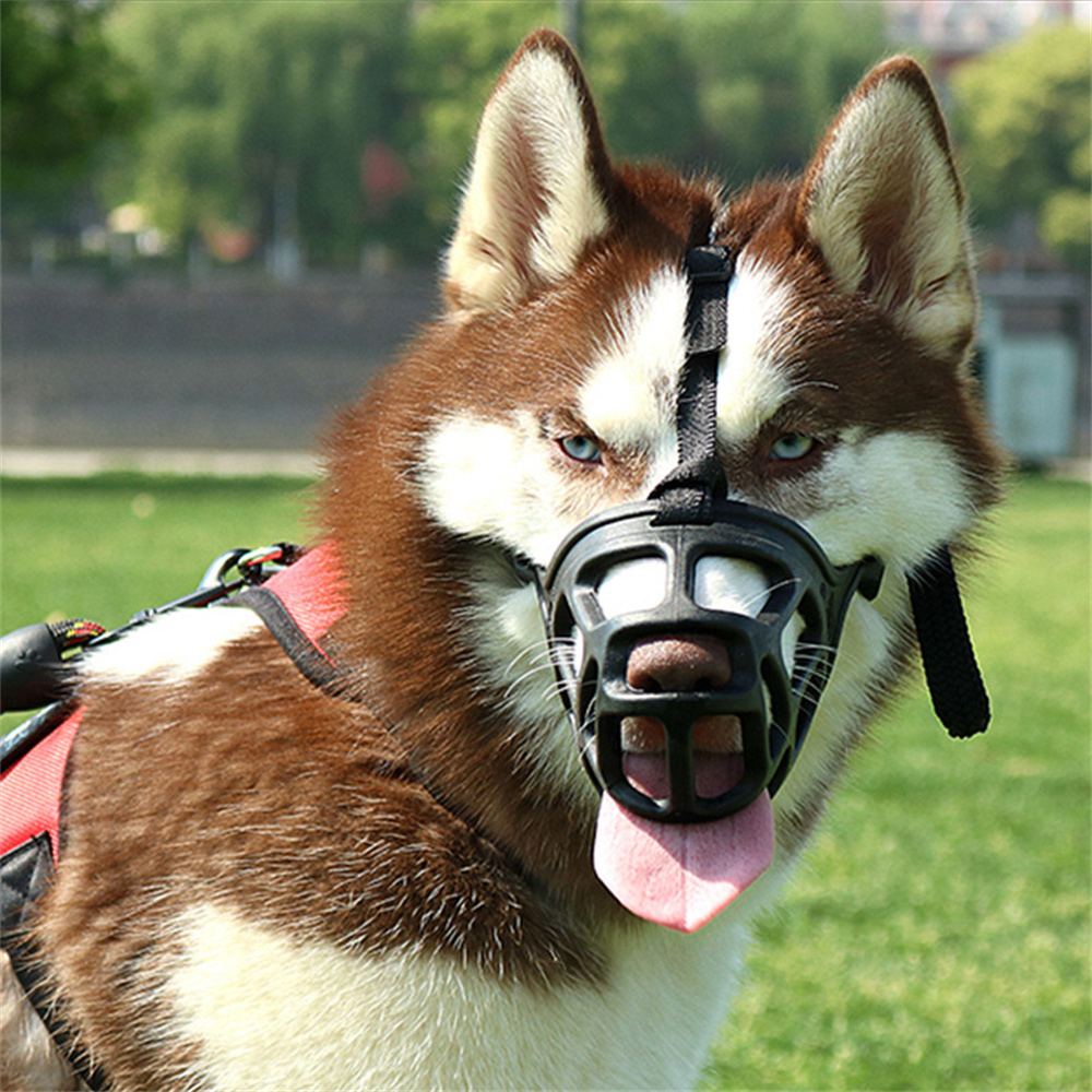 Safe and Non-toxic Pet Muzzle  - Pet Supplies Plus review and price