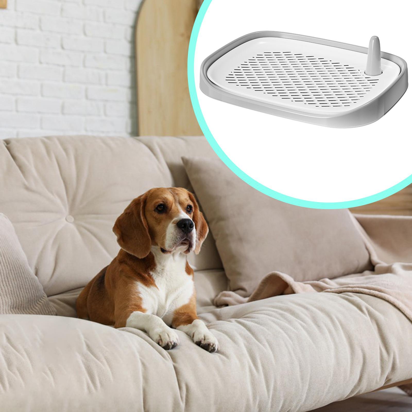 Dog Litter Box Pet Supplies Tr - Pet Supplies For Less review and price