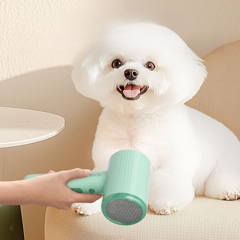 Professional Pet Hair Dryer Be - Pet Supplies For Less review and price