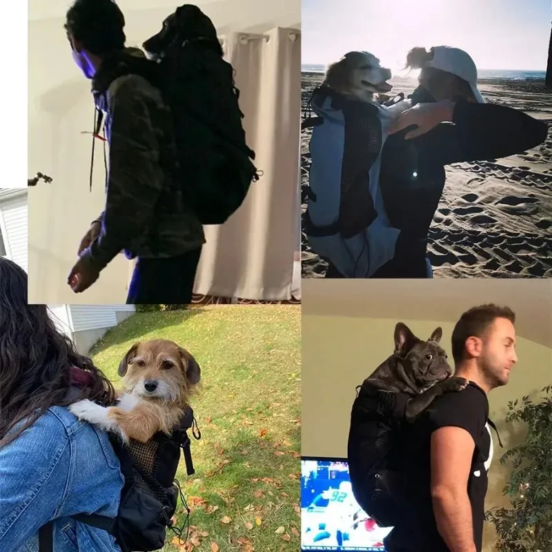 Durable Large Dog Carrier Back - Pet Supplies Plus review and price