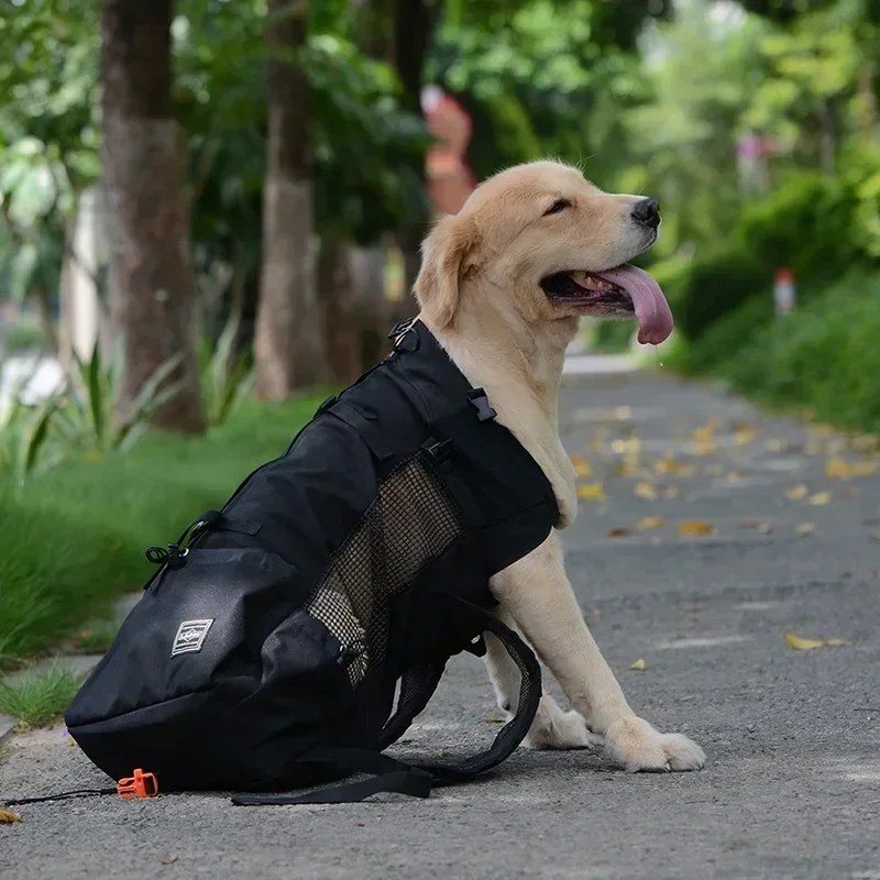 Durable Large Dog Carrier Back - Pet Supplies Plus review and price