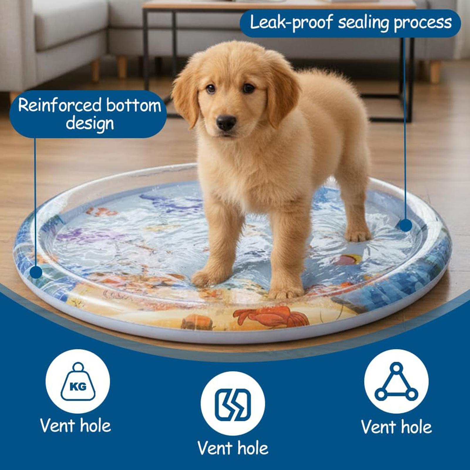 Thicken Interactive Cat Play M - Pet Supplies Dog Wash review and price