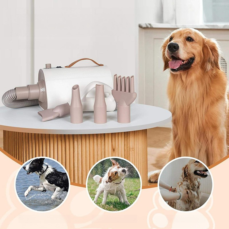 Pet Hair Dryer Low Noise Multi - Pet Supplies For Less review and price