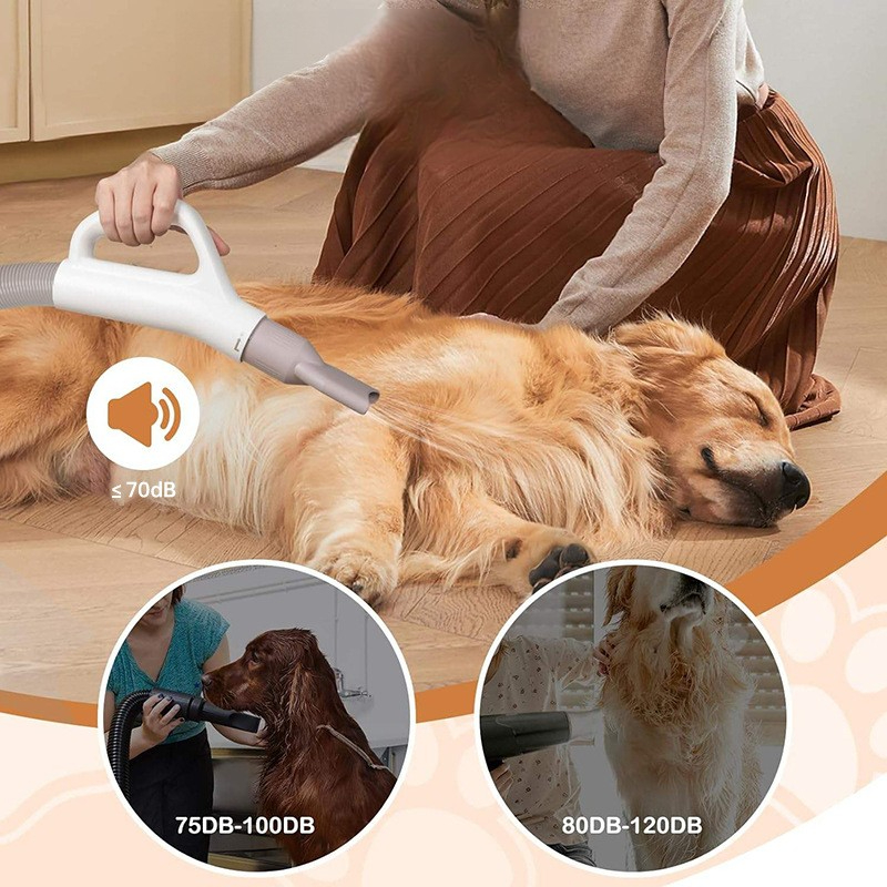 Pet Hair Dryer Low Noise Multi - Pet Supplies For Less review and price