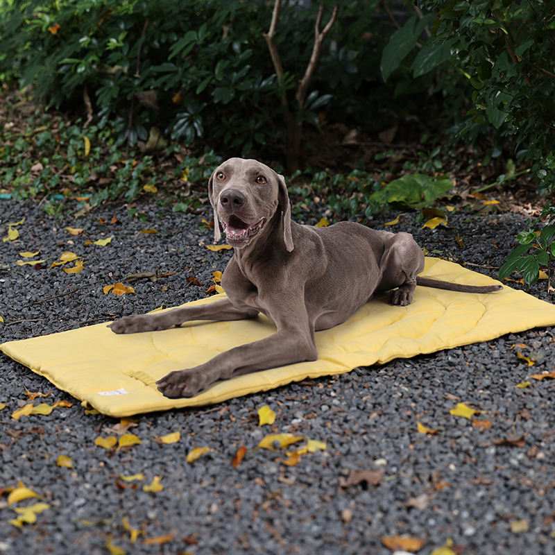 Portable Pet Mat Foldable Pet  - Pet Supplies Dog Wash review and price