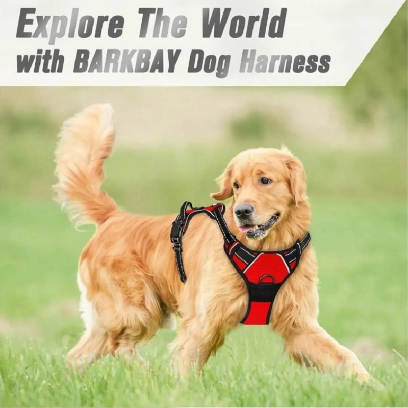 No Pull Dog Harness Large Dog  - Pet Supplies Plus review and price