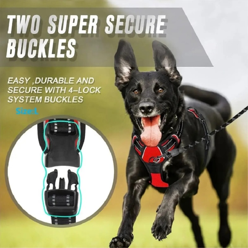 No Pull Dog Harness Large Dog  - Pet Supplies Plus review and price