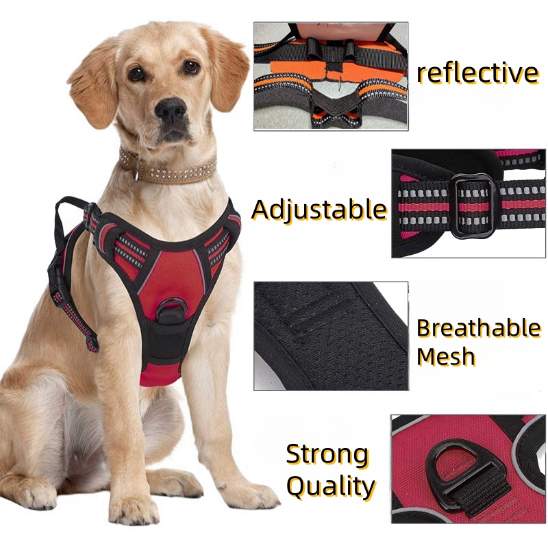 No Pull Dog Harness Large Dog  - Pet Supplies Plus review and price