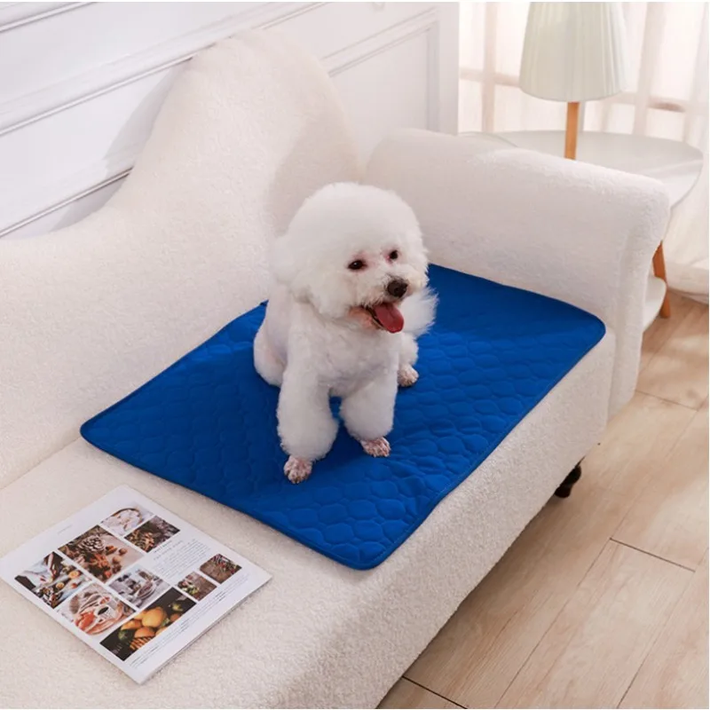 Reusable Dog Pee Pad Blanket A - Pet Supplies Dog Wash review and price