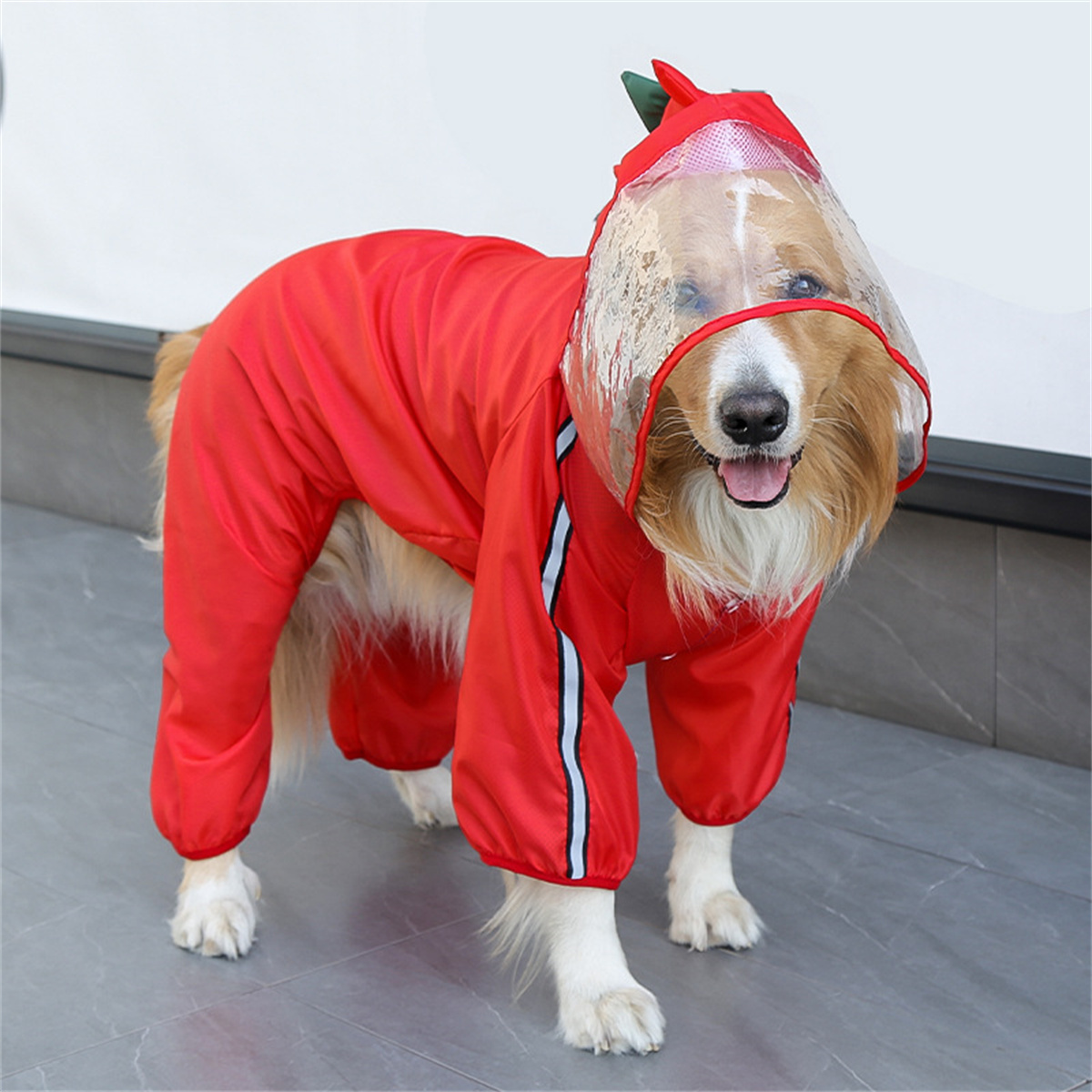Dog Raincoat Waterproof Dogfac - Pet Supplies Plus review and price