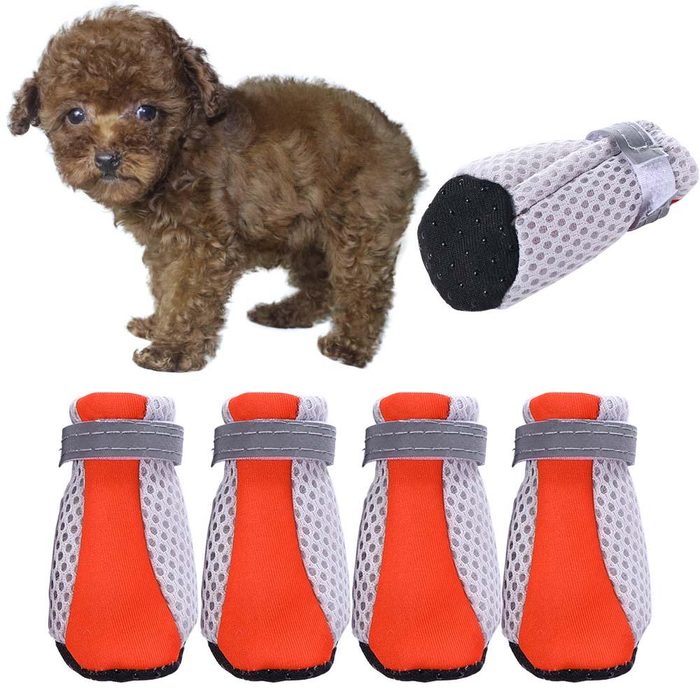 Soft Reusable Paw Protectors M - Pet Supplies Plus review and price
