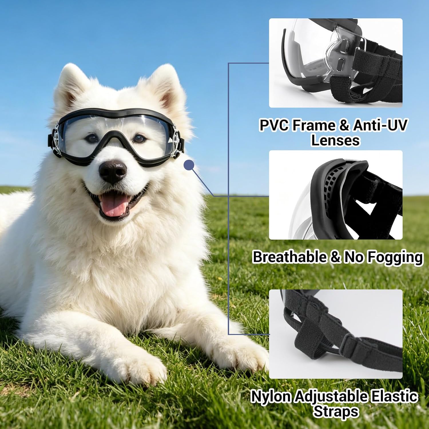 Adjustable Pet Goggles for Dog - Pet Supplies Plus review and price
