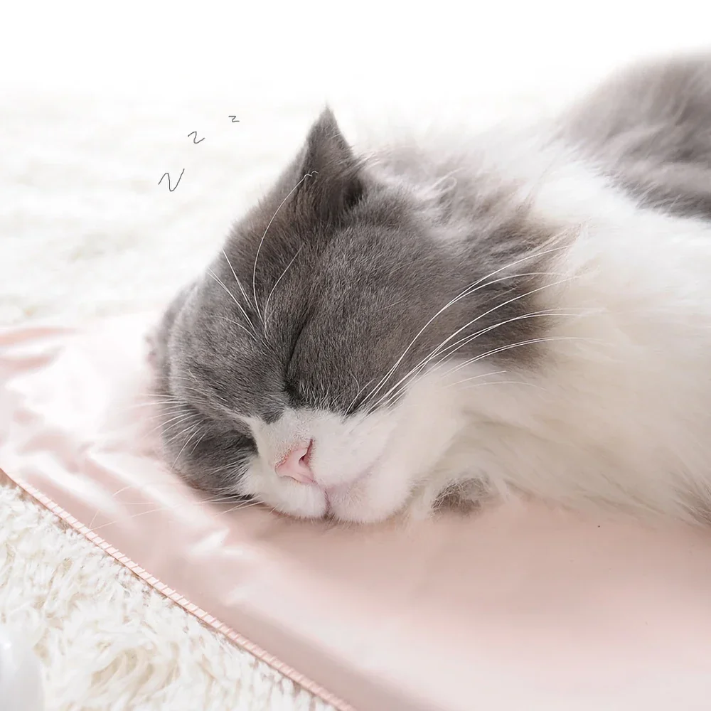 Winter Pet Heating Blanket Wat - Pet Supplies Dog Wash review and price