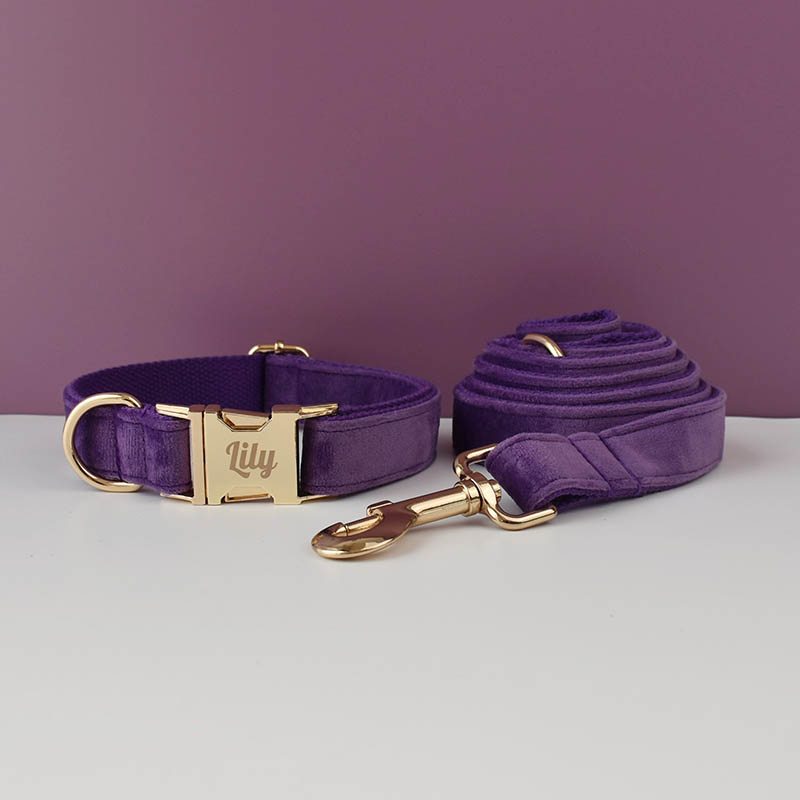 Purple Velvet Dog Collar And L - Pet Supplies Plus review and price
