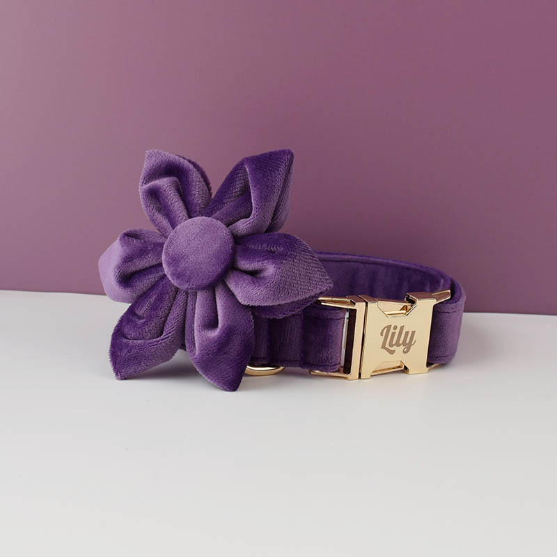 Purple Velvet Dog Collar And L - Pet Supplies Plus review and price